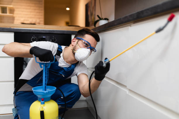 Best Pest Inspection Near Me  in Grand Prairie, TX
