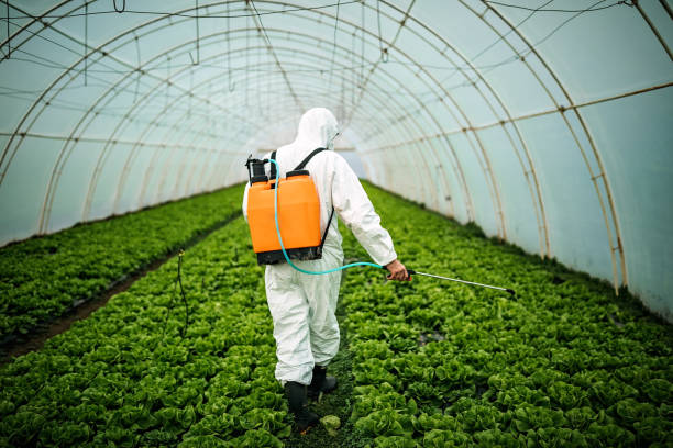 Best Affordable Pest Control Services  in Grand Prairie, TX