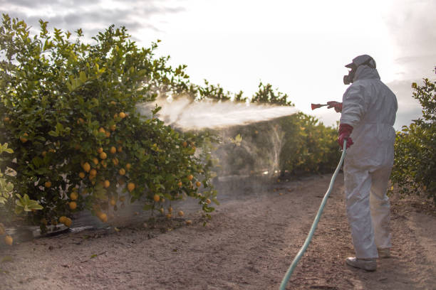  Grand Prairie, TX Pest Control Pros