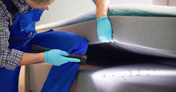 Best Mosquito Control Services  in Grand Prairie, TX