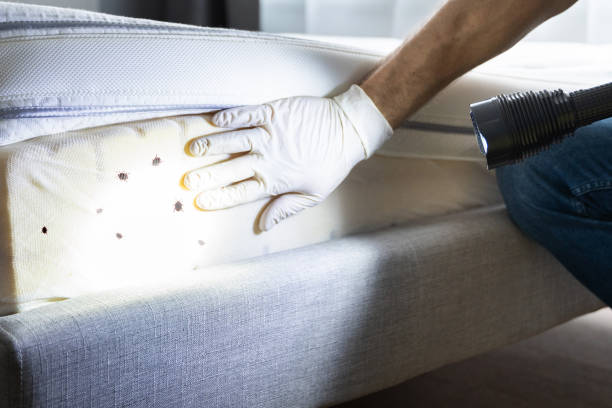Best Pest Inspection Near Me  in Grand Prairie, TX