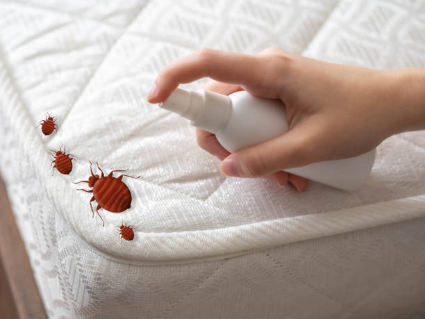 Best Best Pest Control Near Me  in Grand Prairie, TX
