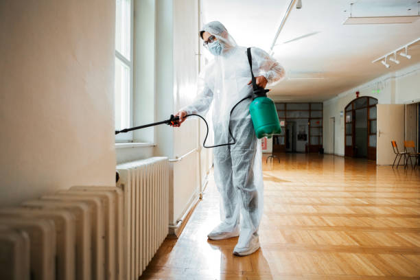 Best Bed Bug Extermination  in Grand Prairie, TX