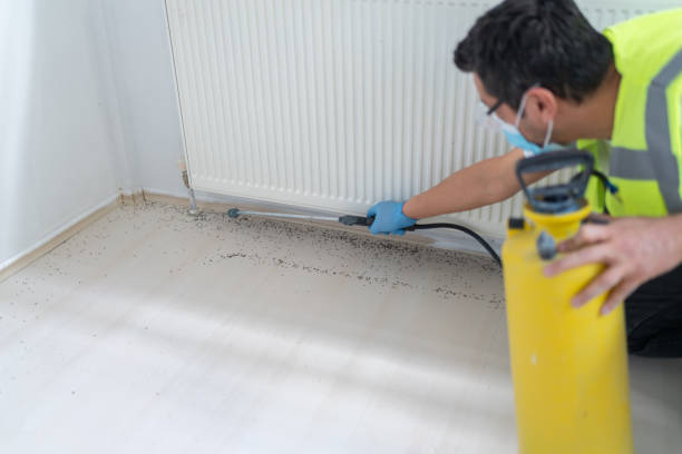 Best Pest Control Near Me  in Grand Prairie, TX