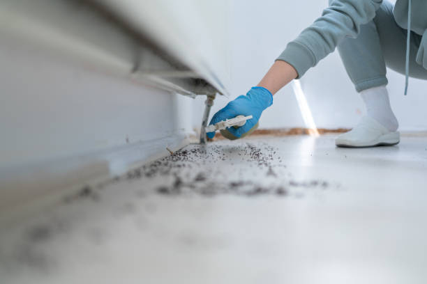 Best Pest Control Near Me in Grand Prairie, TX